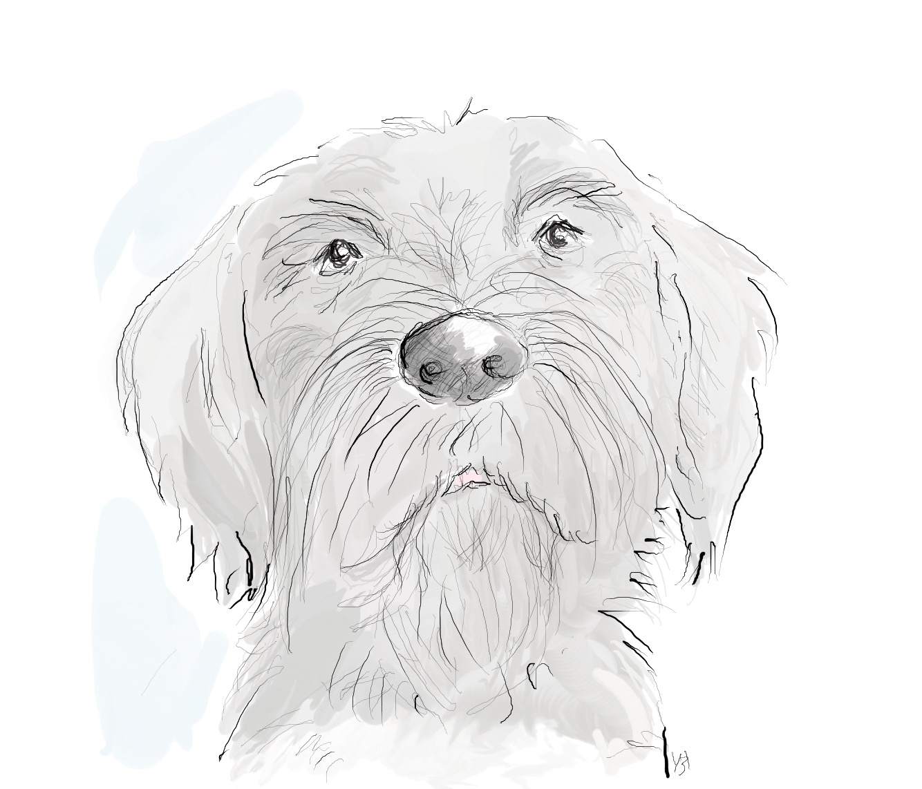 hva så homie morfar hund yvonne krogh